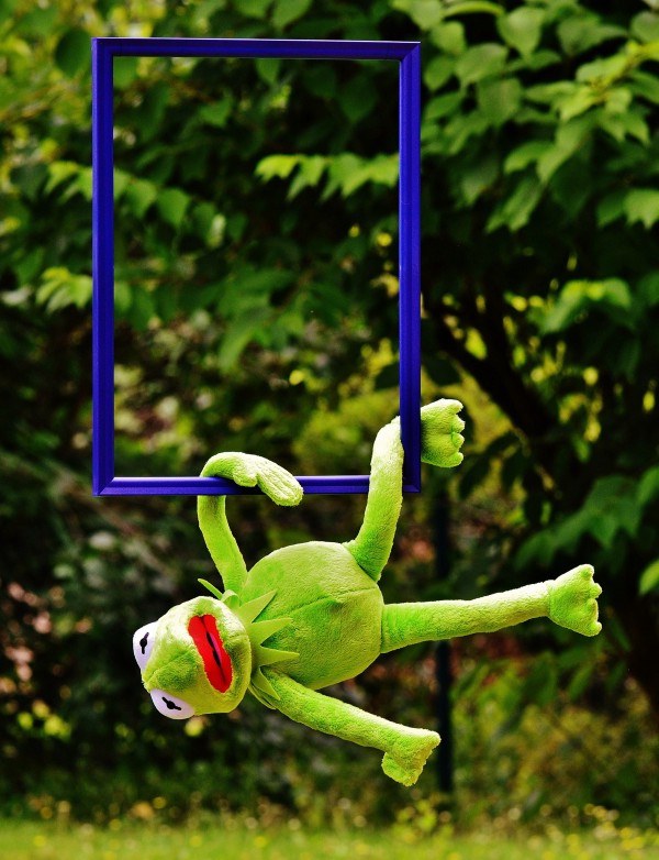Blog posts need images to look good! ([Pixabay](https://pixabay.com/en/out-of-the-ordinary-kermit-frog-1523747/))