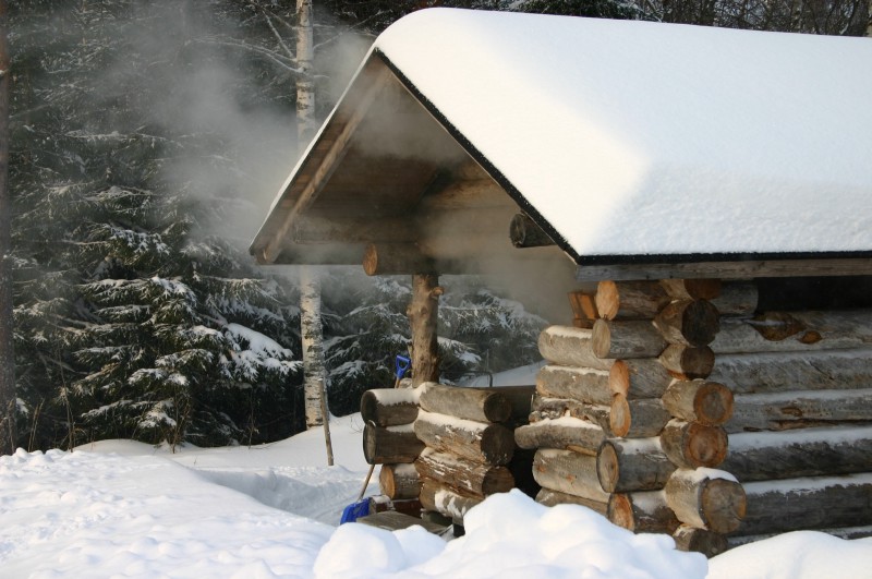 Smoke sauna ([Pixabay](https://pixabay.com/photos/open-the-door-smoke-sauna-size-image-1901567/))