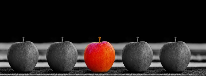 Not all apples are the same ([Pixabay](https://pixabay.com/photos/apple-fruit-selection-especially-1594742/))